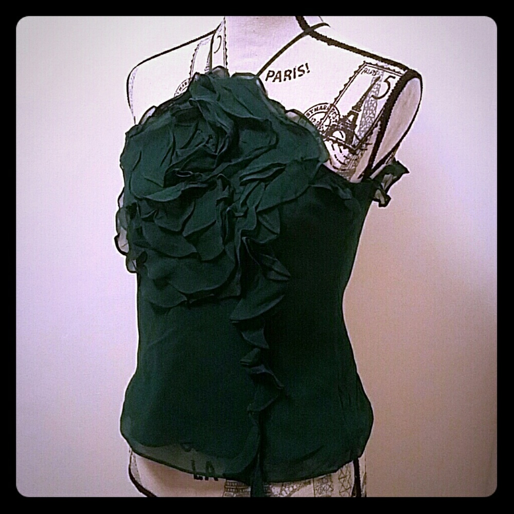 BCBG  Max Azaria sheer silk top Hump Day sale